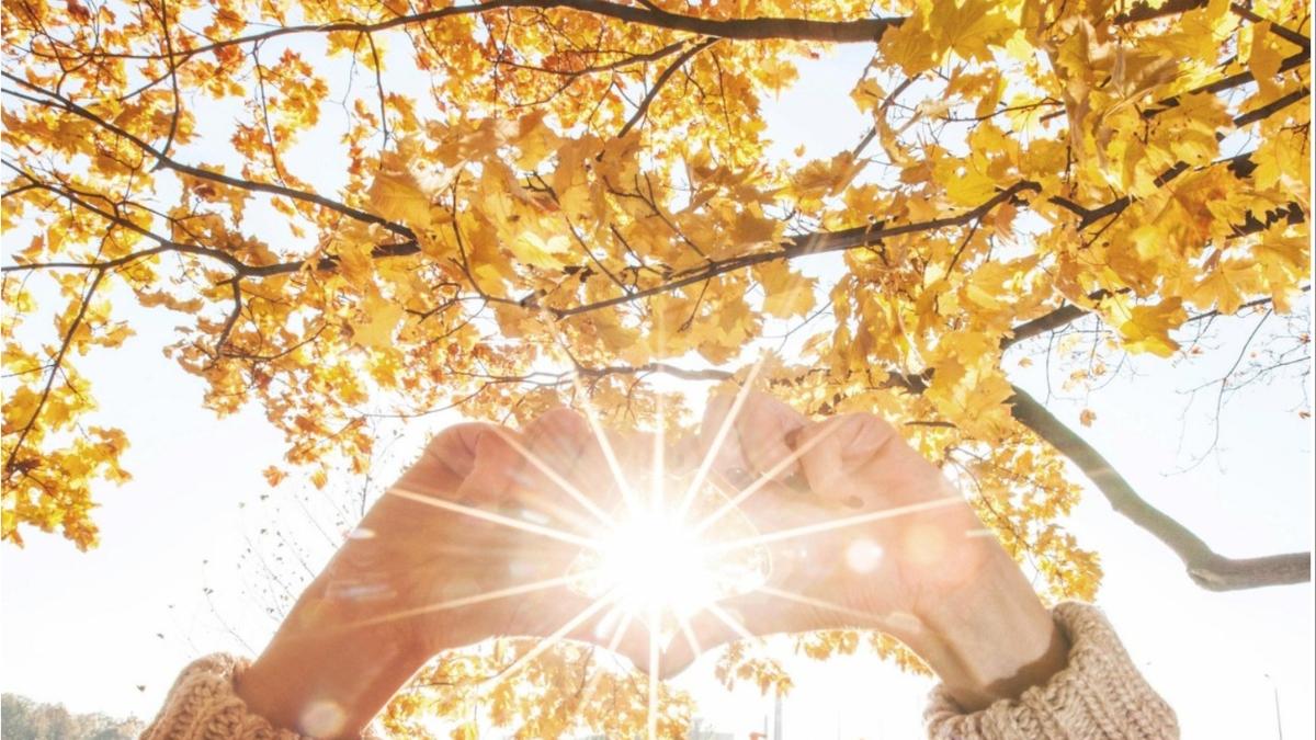 alina serban prognoza meteo vremea