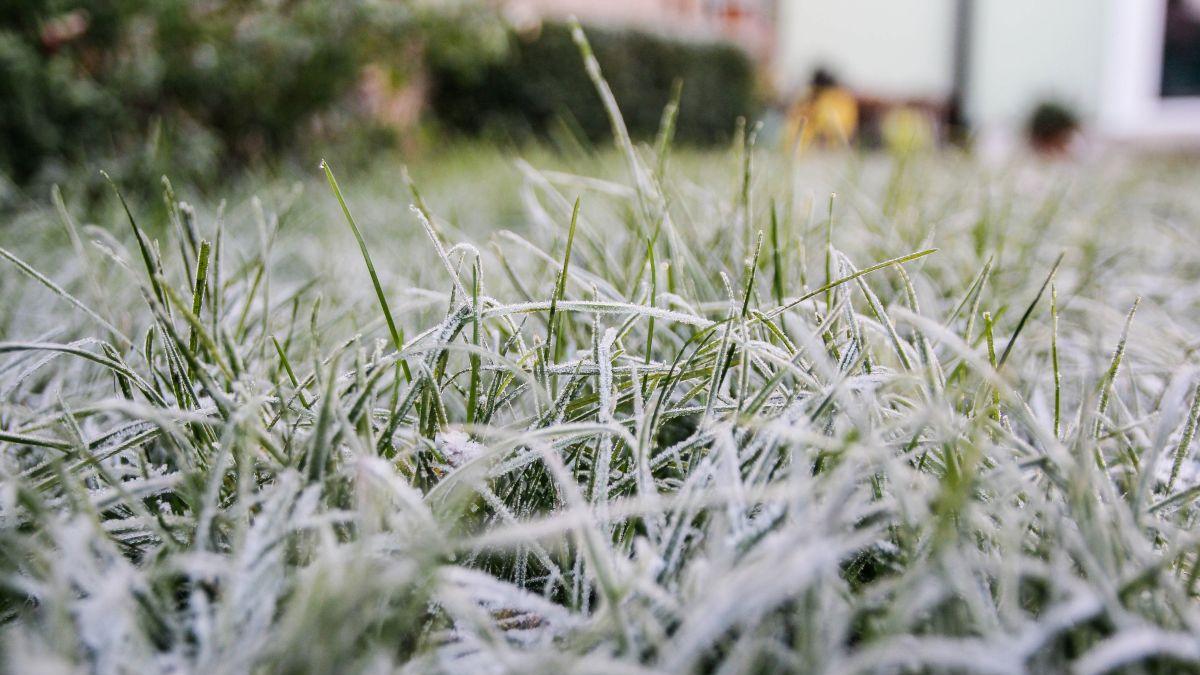 alina serban prognoza meteo vremea