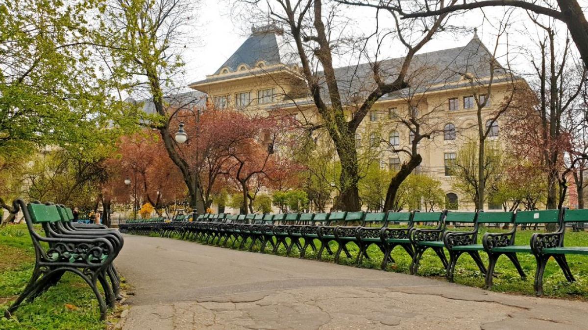 amenzi 5000 lei bucuresteni hrana porumbei