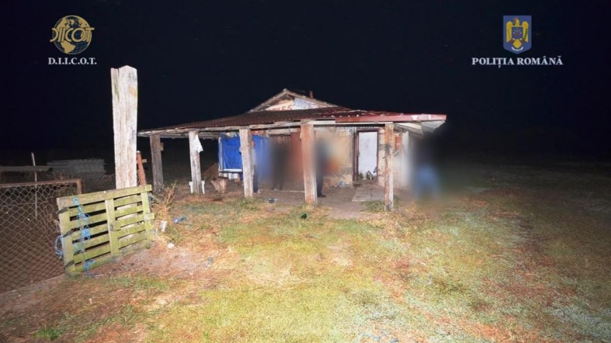 barbat sclav stana arges