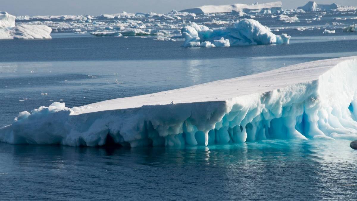 oameni stiinta ingrijorati banchize antarctica