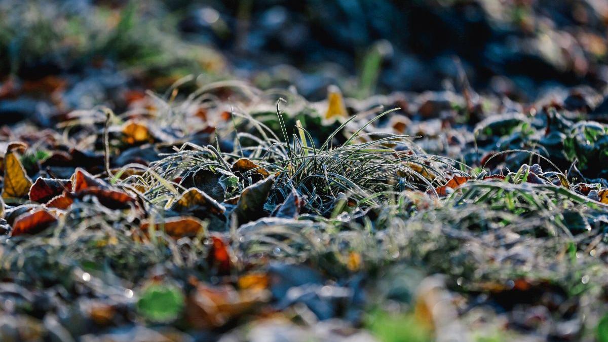 prognoza meteo 4 saptamani vremea