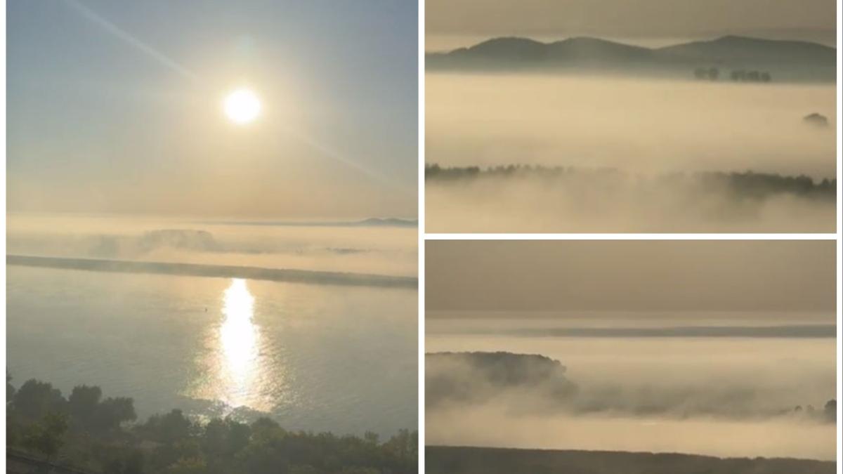 fierbe dunarea explicatii fenomen rar