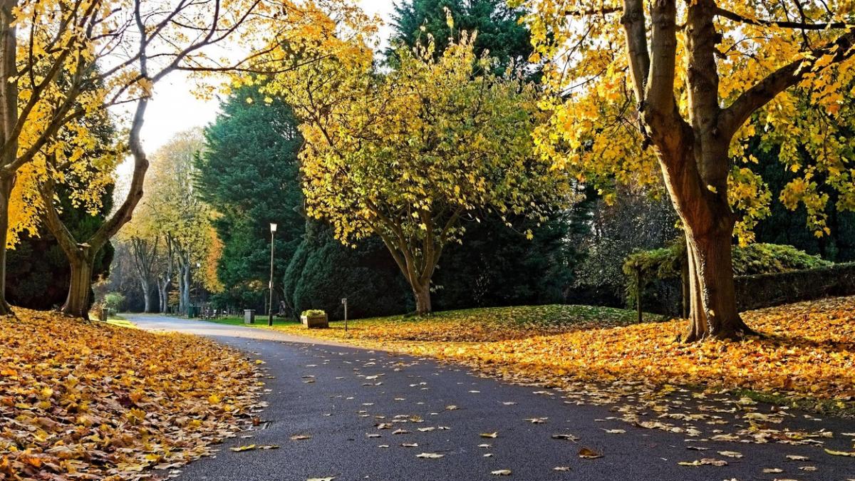 prognoza meteo bucuresti frig temperaturi