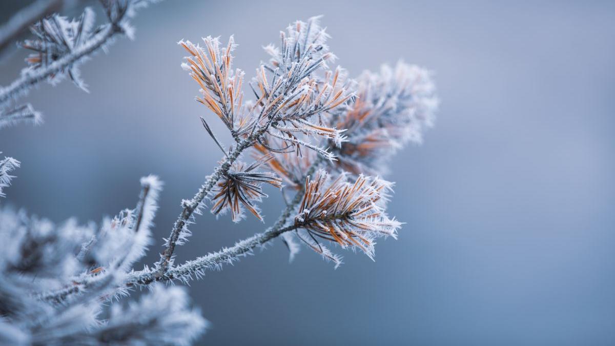 vremea prognoza meteo cod galben vant puternic ploi racire semnificativa