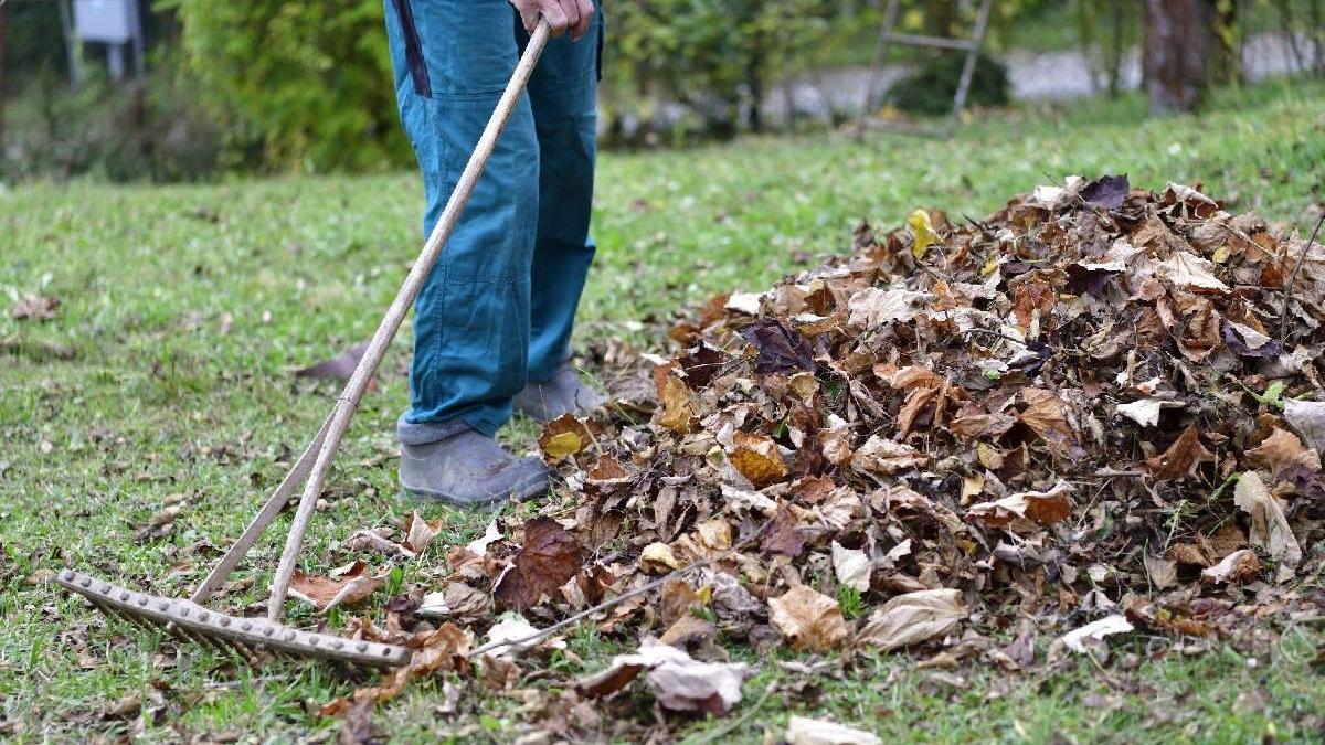 romani stau curte risca amenzi usturatoare obicei costa scump lege