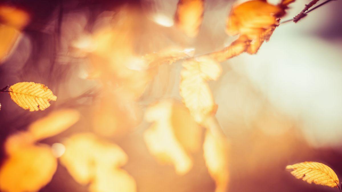 prognoza meteo vremea schimbare brusca anunt meteorologi