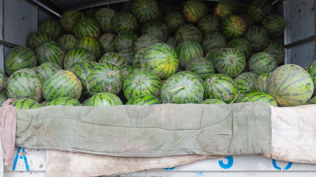 sofer roman arestat franta transpor tir substante ilegale