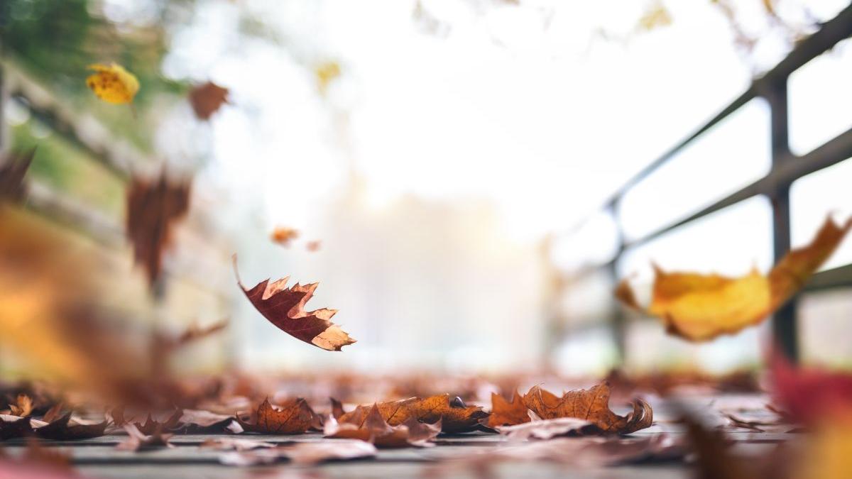 avertizare anm vreme rea vant puternic