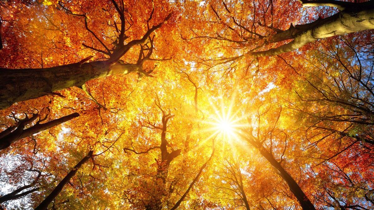 prognoza meteo bucuresti vreme weekend