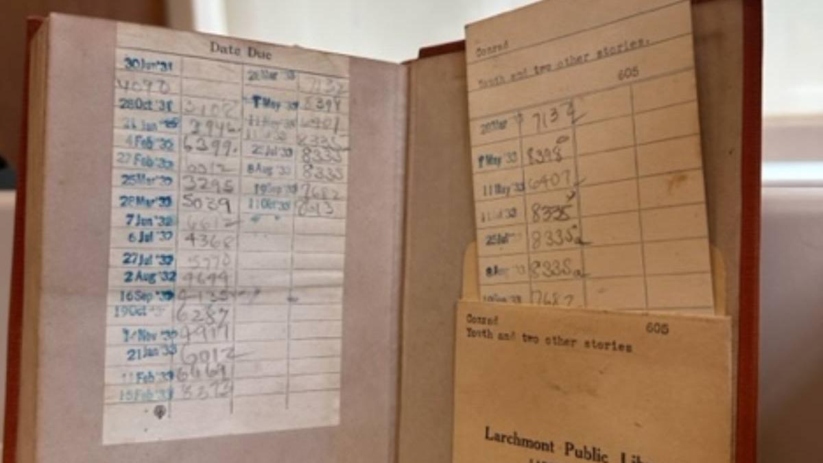 amenda femeie returnat carte biblioteca 1933