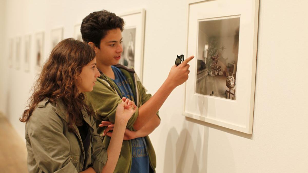 elevi acces gratuit concerte spectacole muzee