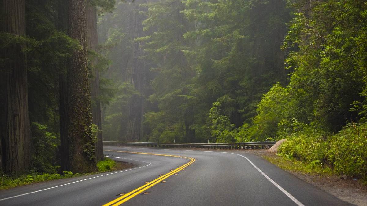 politisti confundat papusa conflabila cadavru anglia drum inchis