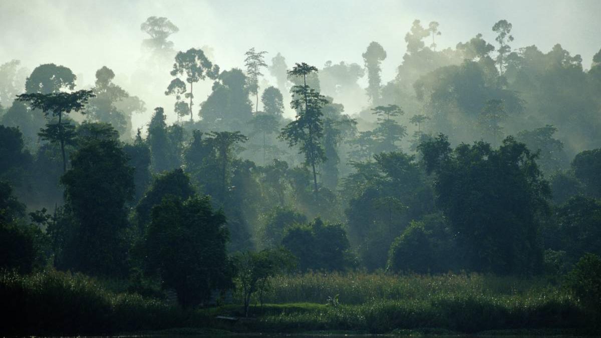 animal consuma alcool mai mult ca romanii