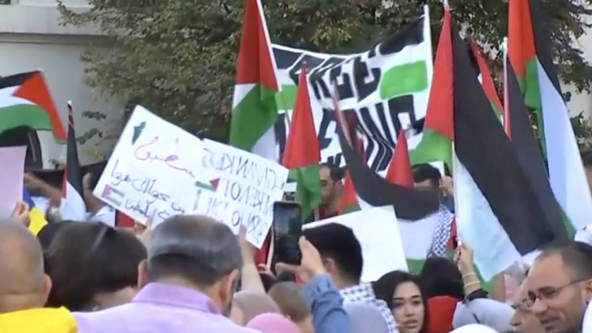 proteste pro palestina berlin