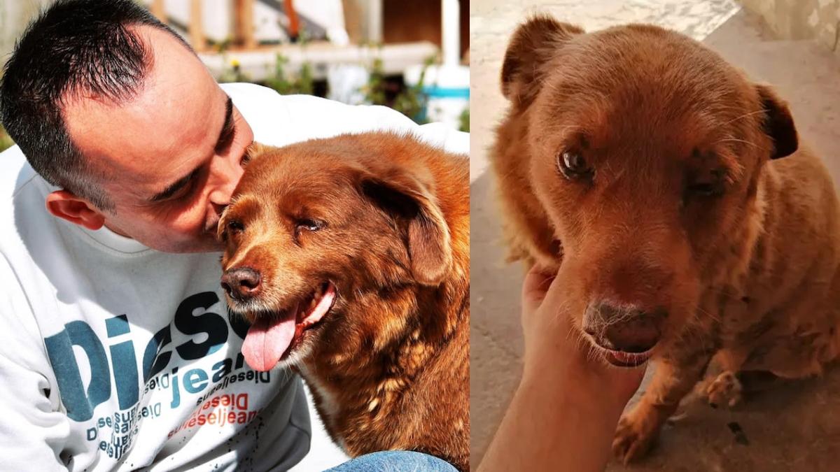 bobi caine batran murit cartea recordurilor