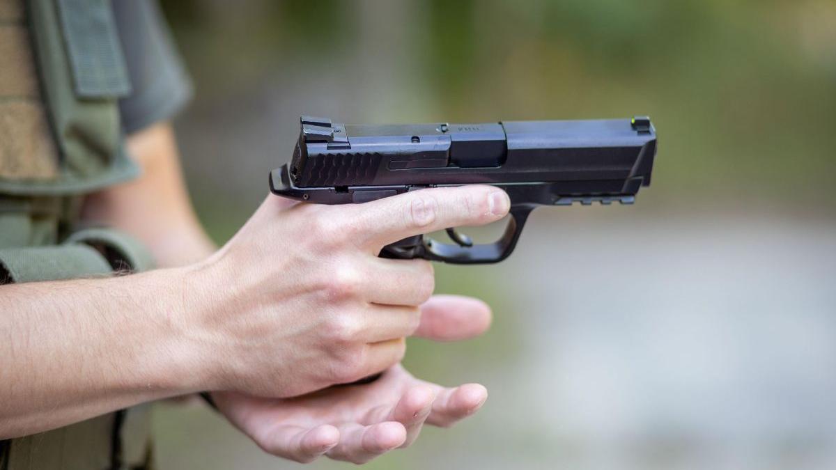 schimbari regimul armelor si munitiilor romania proiect de lege adoptat tacit senat