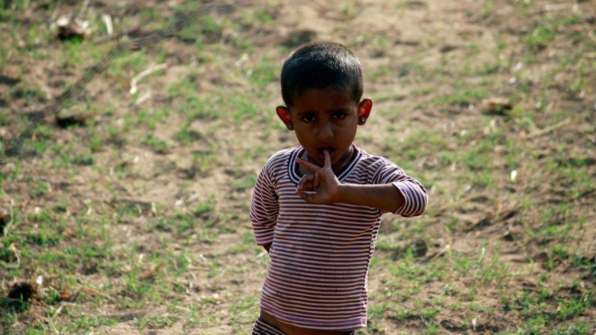 studiu copii intoxicati cu plumb