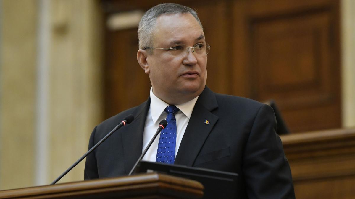 nicolae ciuca mesaj ziua armatei romania respectata eficienta determinare