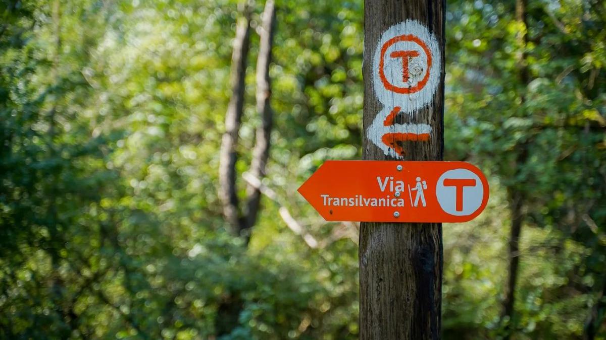 via transilvanica google street view