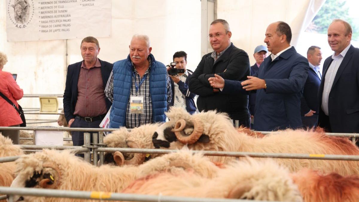 nicolae ciuca vizita targul indagra fermieri romani