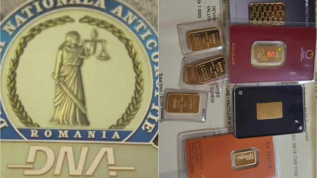 perchezitii dna director mipe spaga