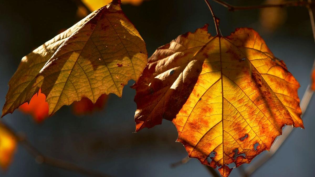 prognoza meteo noiembrie 2023 vremea