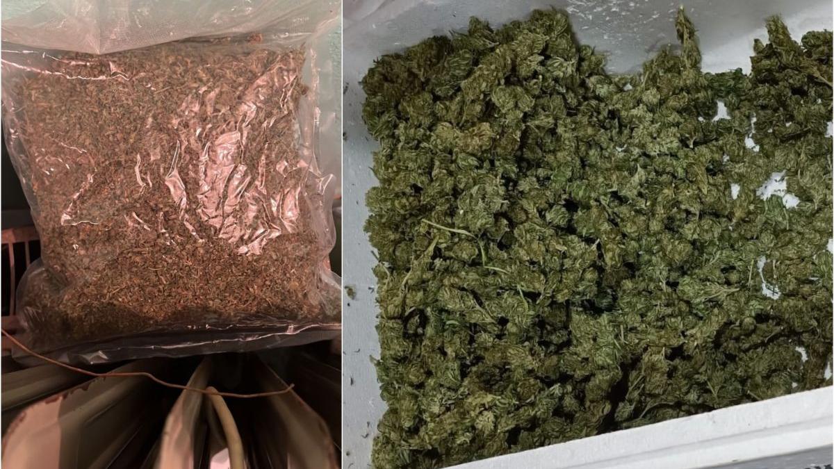 10 romani printre care minori prinsi vindeau 20 kilograme canabis sat dambovita