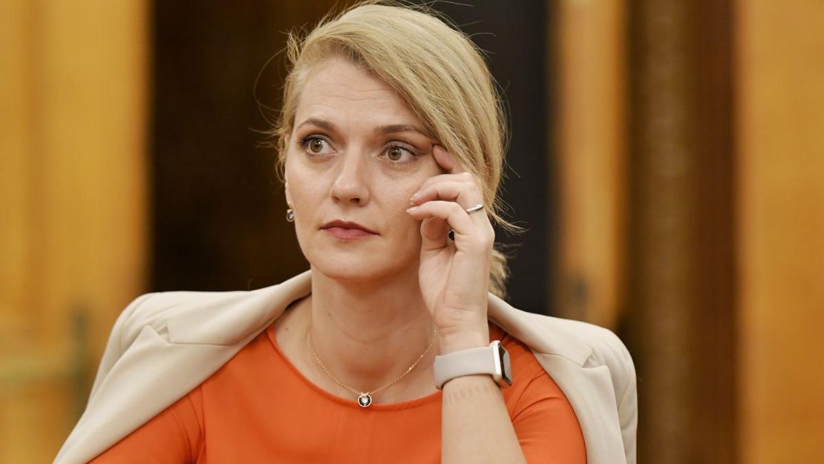 alina gorghiu ministrul justitiei 160 cazuri pe zi violenta domestica