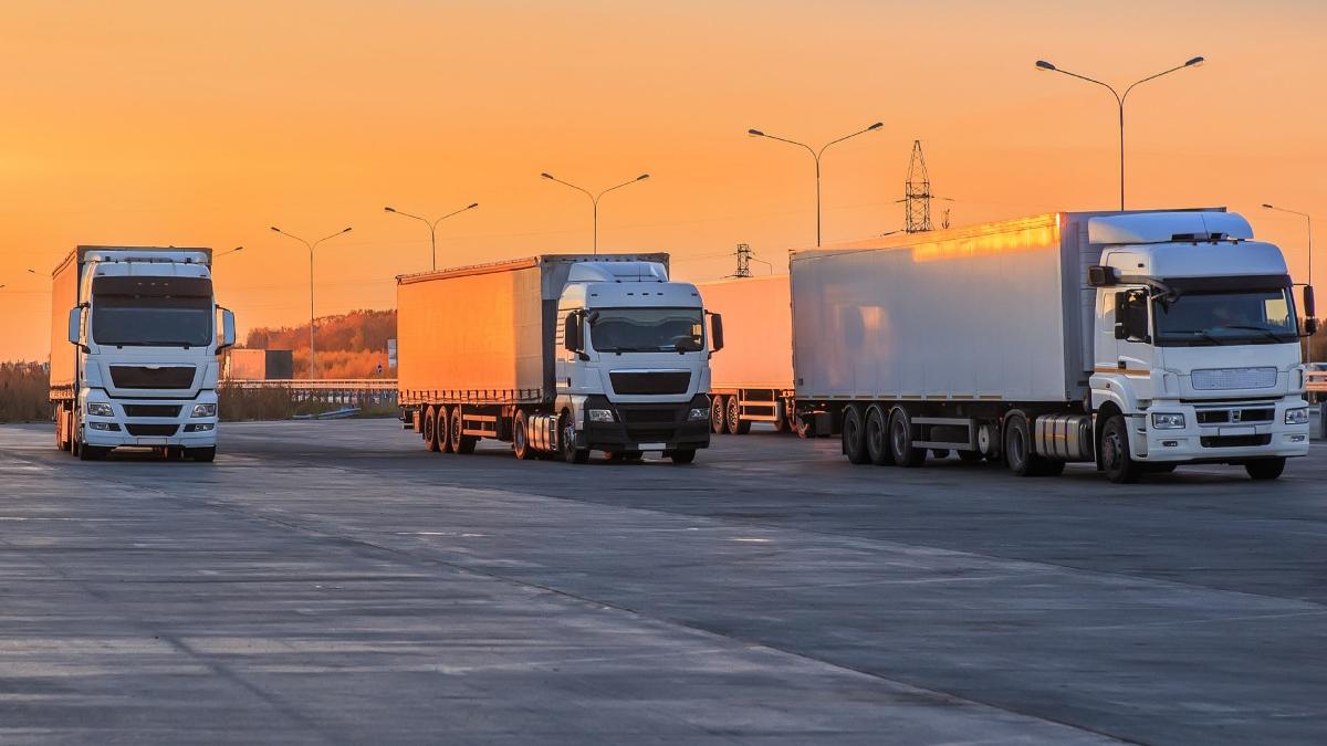 doi soferi romani de tir gratar paznic parcare austria petrecere