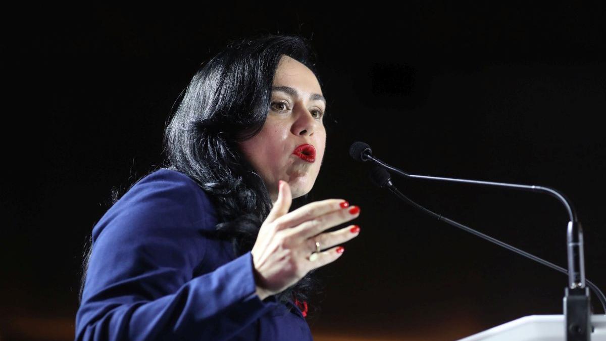 ministrul muncii prezinta coalitie noua lege pensii