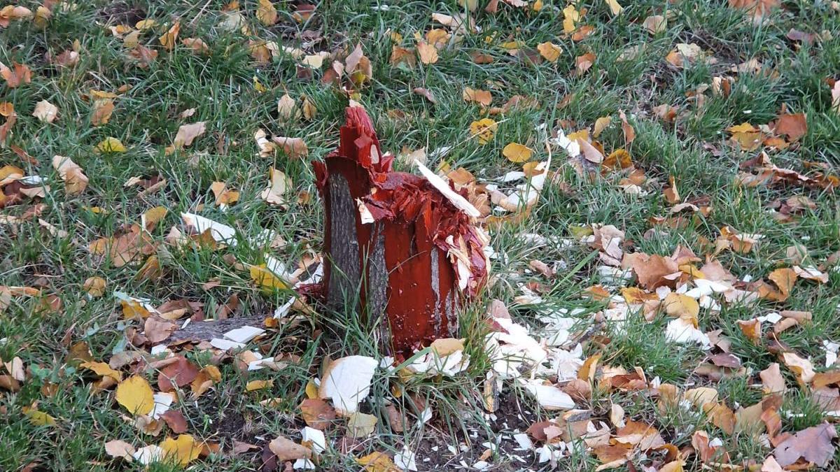 amenda 20000 lei barbat sibiu taiat tei fata casei ascundere urme