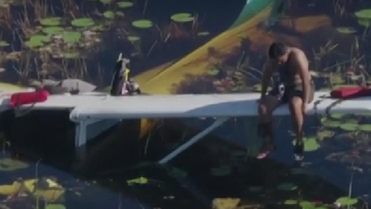 barbat supravietuire avion prabusit mlastina crocodili florida