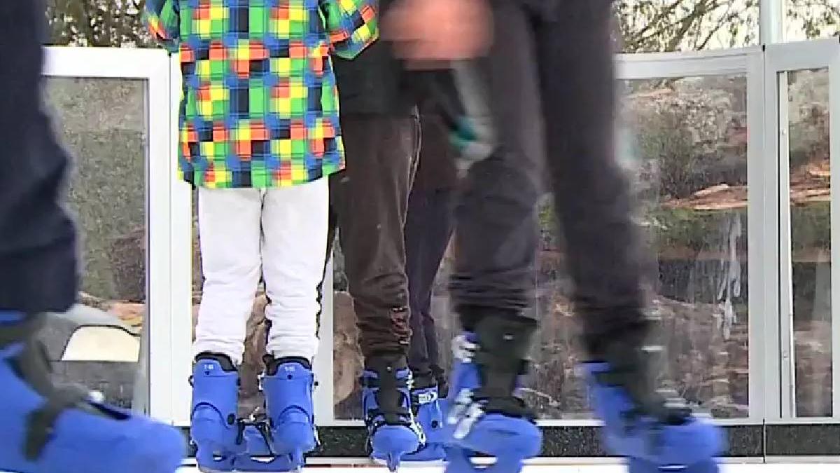 comuna romania patinoar 120 000 de euro rusii munti mures