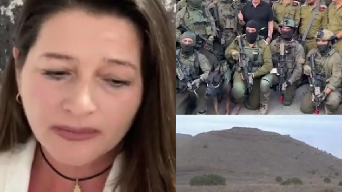 lacramioara danciu romani fasia gaza razboi