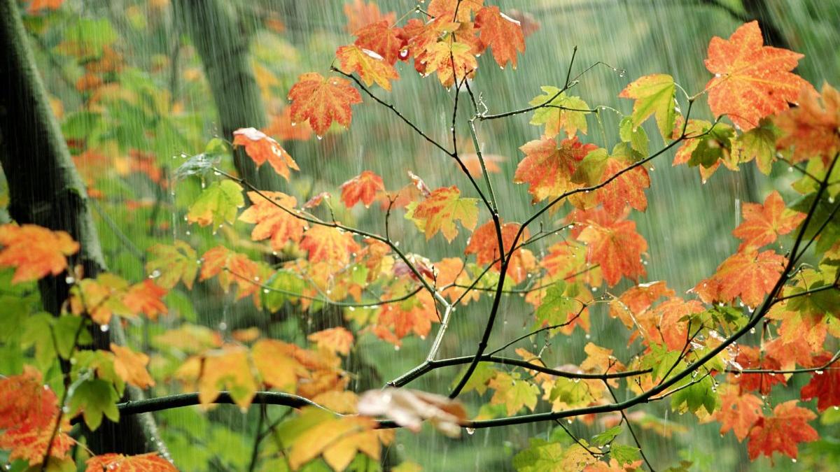 prognoza meteo vremea ploi vreme rece