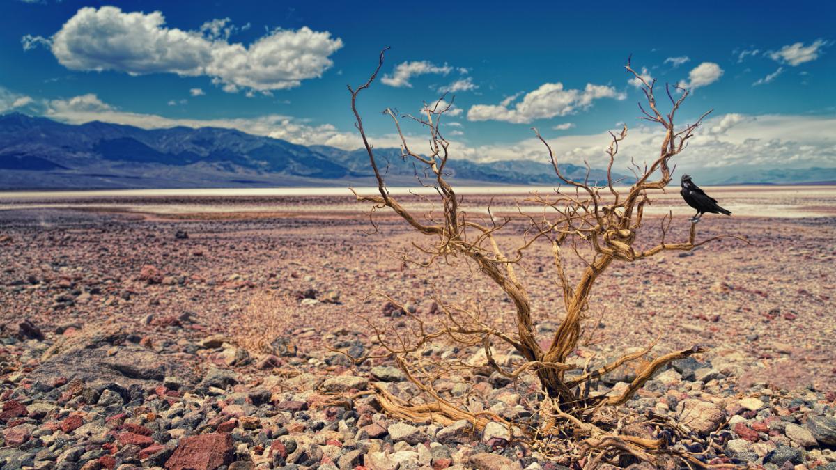 schimbari climatice pericol sanatate avertisment onu