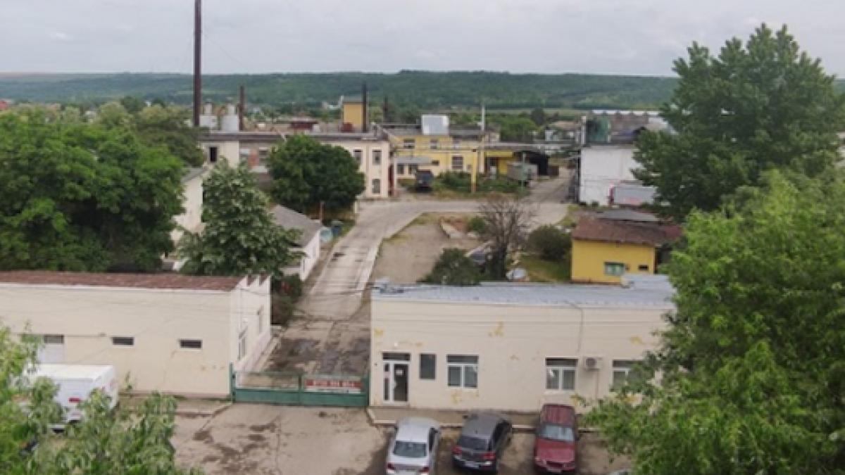 fabrica ulei veche 100 de ani vanduta 1 8 milioane de euro