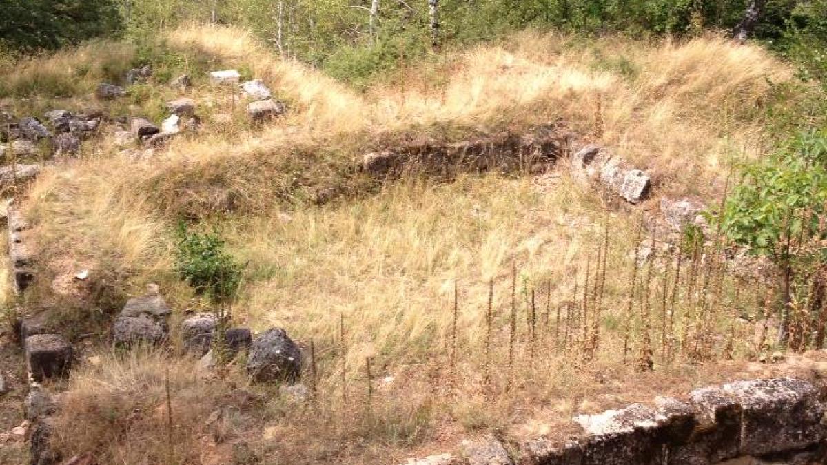 cetatea dacica capalna