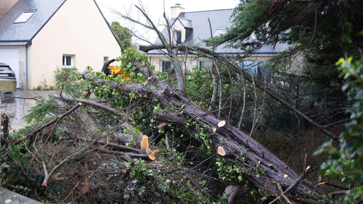 furtuna constanta apeluri 112 vreme rea