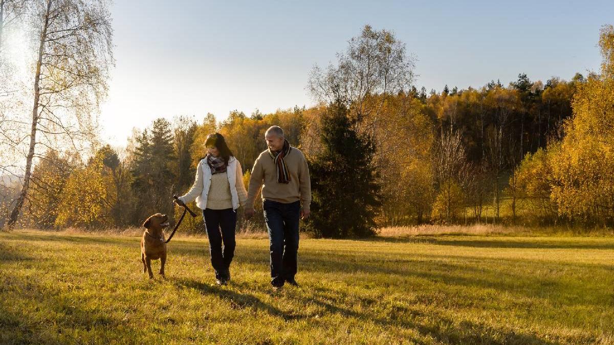 mers jos viata sanatoasa timp miscare zilnica riscuri stat scaun