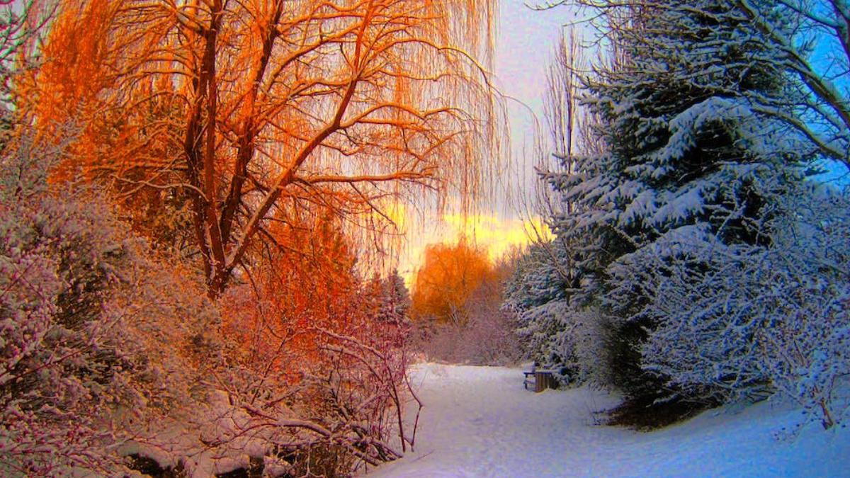 personalitatea in functie de anotimpul nascut