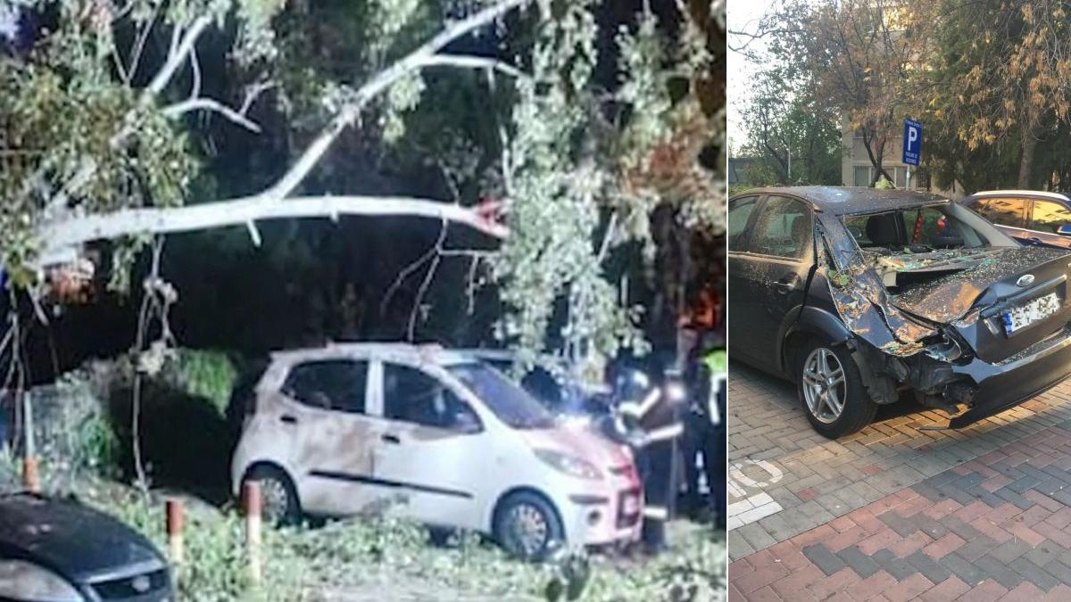 copac smuls vant parc copii strivit masini blocat intrare metrou sector 3