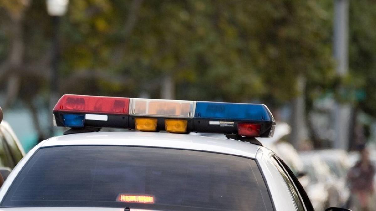 craniu uman vanzare magazin vechituri florida explicatie proprietar