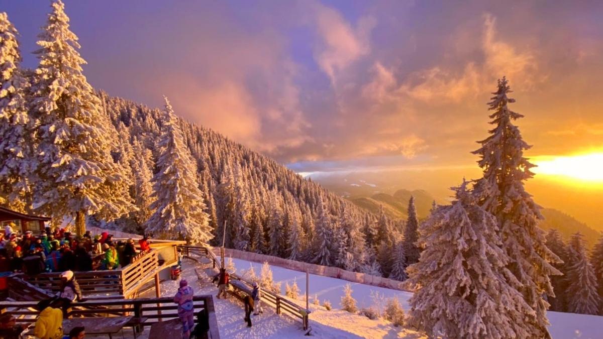 hoteluri poiana brasov ocupate 80 la suta sarbatori iarna preturi