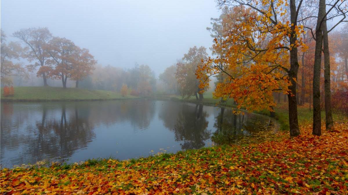 prognoza meteo anm vremea doua saptamani