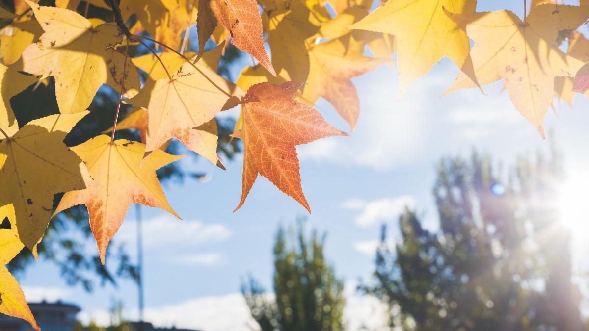 prognoza meteo 4 saptamani vremea