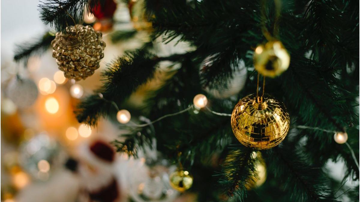 brad 115 ani taiat italia targ craciun viena