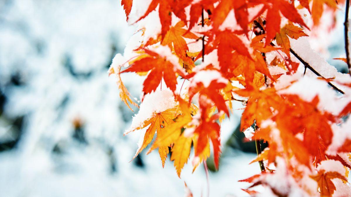 ciclon polar romania ninsori ploi lapovita prognoza meteo vremea