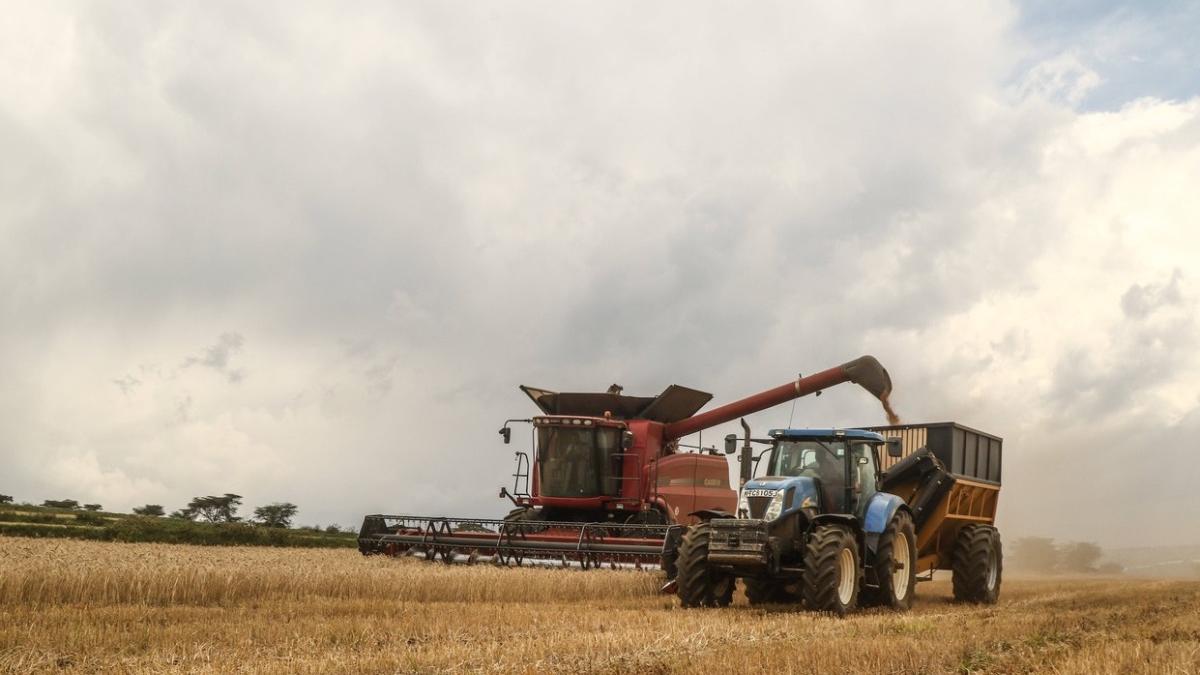 ucraina mareste livrari cereale porturi marea neagra anunt oficial caile ferate